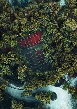 Tennis in the Trees