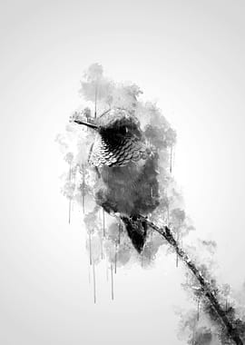 Humminbird on branch BW