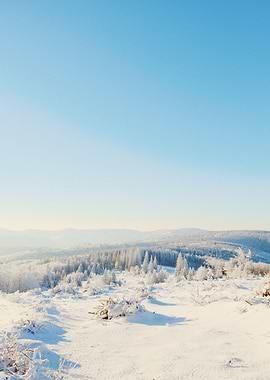 Lost in the white wonder