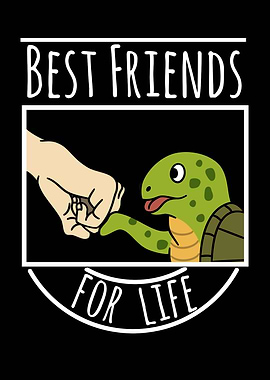 Turtle Best Friends