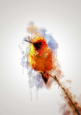 Humminbird on branch