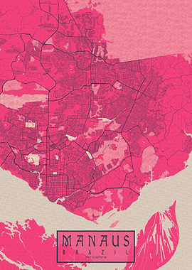 Manaus City Map Blossom