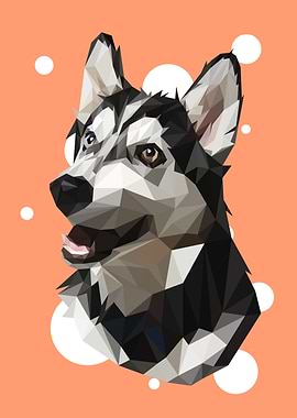 Husky