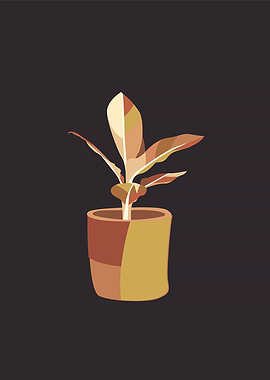 beautiful houseplant popar