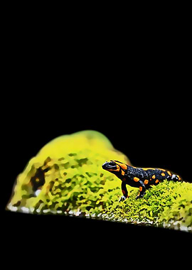 SALAMANDER ART