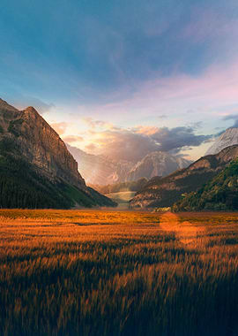 Sunset in the Fields