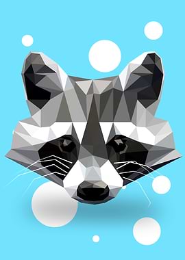 Raccoon