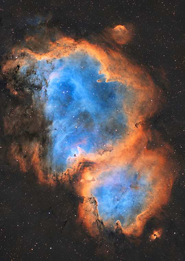 The Sentinel of the Soul