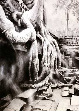 Overgrown Ruins Cambodia