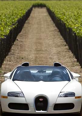 Bugatti Veyron