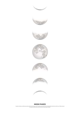 moon phases astrology