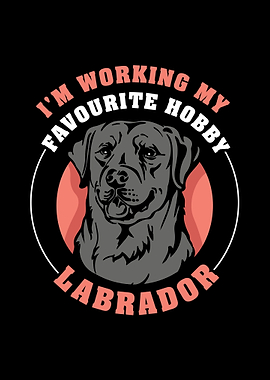 Labrador