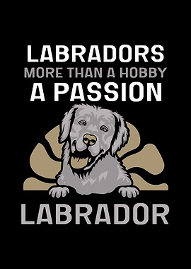 Labrador