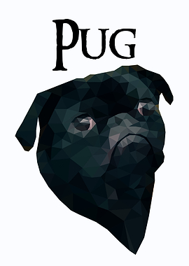 Pug