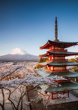 Pagoda and Mt Fuji Japan