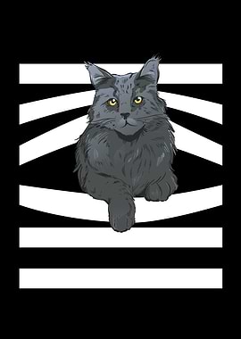 Kitten Cat Animal Rights