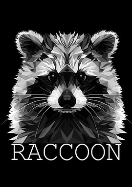 Raccoon