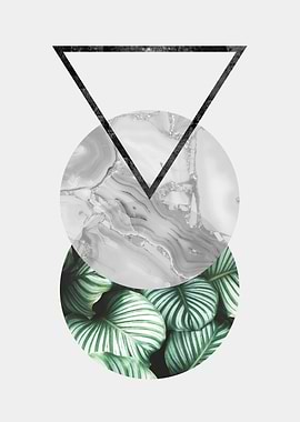 Botanical and geometric 02