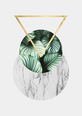 Botanical and geometric 03