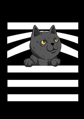 Kitten Cat Animal Rights