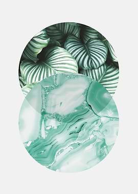 Botanical and geometric 05