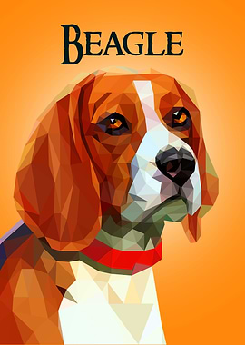 Beagle