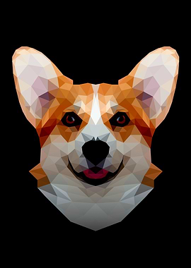 Corgi