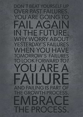 Embrace Failure Process
