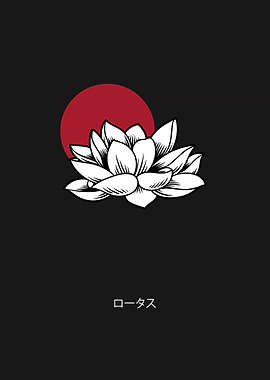 Japanese lotus