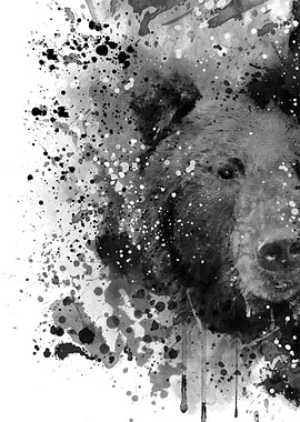 Half faced grizzly bear