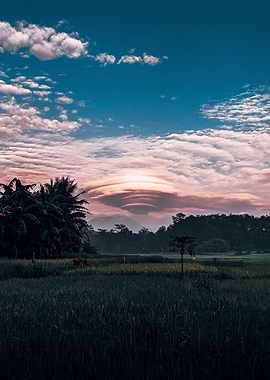 Indonesian Village Nature