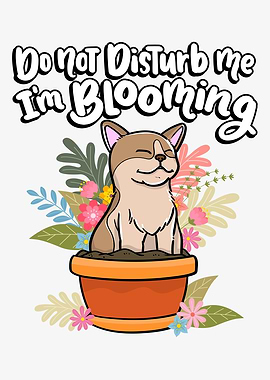 Do Not Disturb Me cat