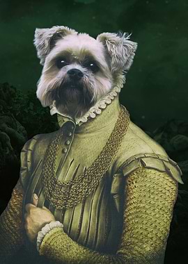 Miniature Schnauzer Dog