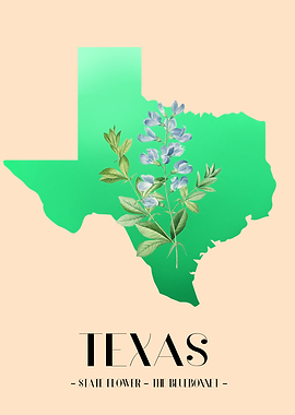 Blue Flowers in Texas