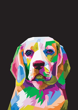 Colorful Dog Head