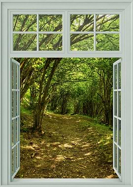 window open view forest