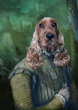 English Cocker Spaniel Dog