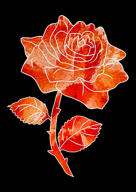 Abstract orange rose