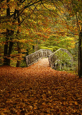 Wooden Bridge in Autumn