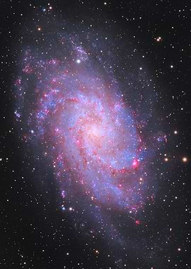 The Triangulum Galaxy