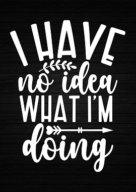 Have No Idea What Im Doing