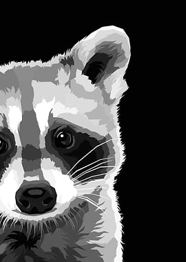 Raccoon