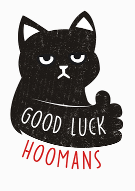 funny lucky cat black cat