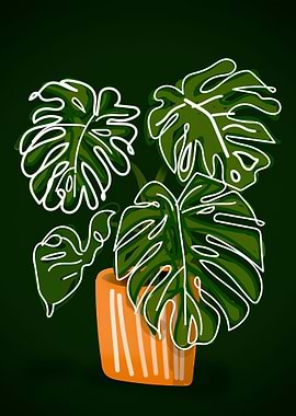 Monstera