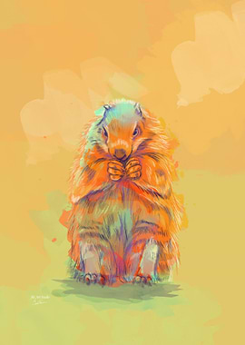 Marmot Waiting for Fall