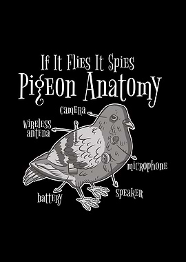 Anatomy of a Pigeon Funny