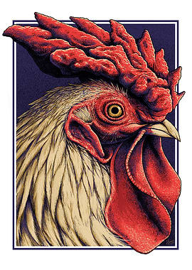 Chicken Portrait