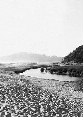Oregon Coast Landscape