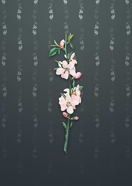 Vintage Peach Flower