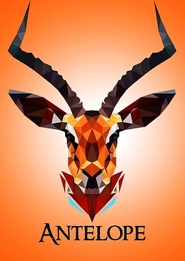 Antelope